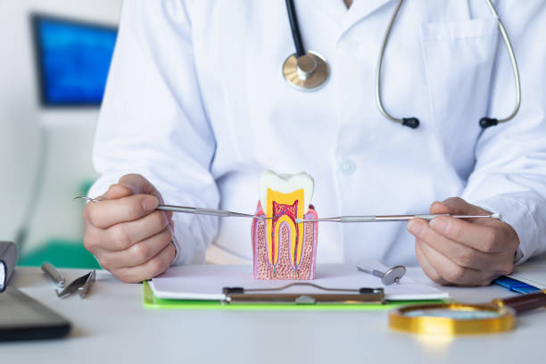 Best Emergency Dentist for Knocked-Out Tooth in Shinnston, WV